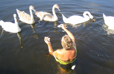 
                    Grace Graham feeding the swans off her dock.
                                            (Christina Shockley)
                                        