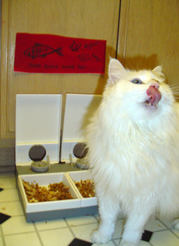 
                    Wendy and Charlie's cat Duster thanks the couple for blessing his bowl.
                                            (Charlie Schroeder)
                                        