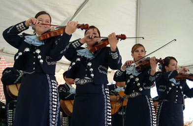 
                    Violins carry the harmonies and melodies in mariachi music, and students often have to sing solos as well.
                                            (Julia Barton)
                                        