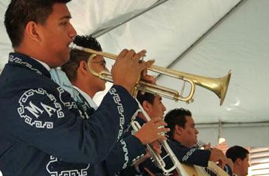 
                    Mariachi groups started adding trumpets in the 1940s, and now brass is part of the music's signature sound.
                                            (Julia Barton)
                                        