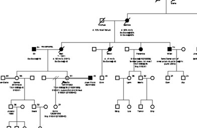 
                    Neille Ilel's family tree with respect to BRCA1 mutation.
                                            (Joyce Seldon)
                                        