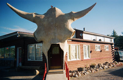 
                    Dubois, Wyo., is known for its huge animal sculptures.
                                            (Barrett Golding)
                                        