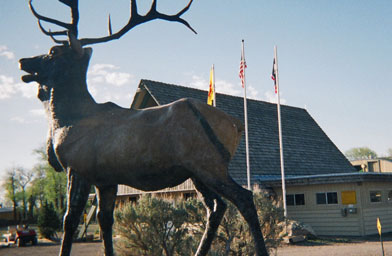 
                    Dubois, Wyo., is known for its huge animal sculptures.
                                            (Barrett Golding)
                                        