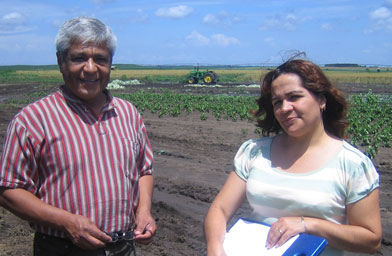 
                    Julio Flores and Marisela Chavez try to convince migrant workers in Beardstown to register and send their children to school. Here they stand in a field of cabbage.
                                            (Kelly McEvers)
                                        
