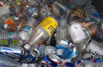 
                    Inside the recycling bin.
                                            (Benko Photographics)
                                        