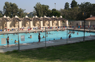 
                    The Griffith pool is a playground for the young and (sometimes) unemployed.
                                            (Jason Morphew)
                                        