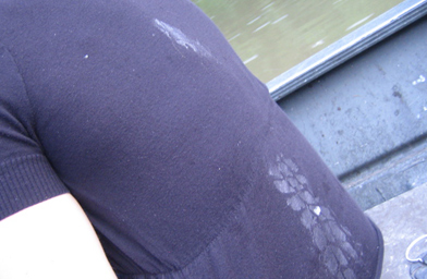 
                    The back of reporter Kelly McEvers' shirt after getting slimed by an Asian silverhead carp.
                                            (Kelly McEvers)
                                        