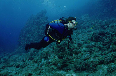 
                    Mike Utley scuba diving after his injury.
                                            (The Mike Utley Foundation)
                                        