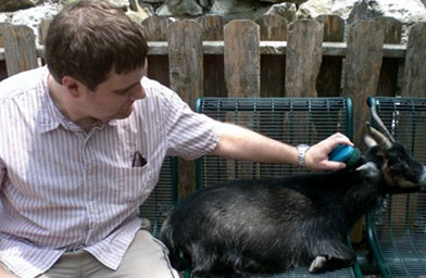 
                    Andy brushing a goat at the St. Louis Zoo.
                                            (Courtesy of Andy Maynard)
                                        