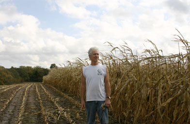 
                    Barney Lavin, a cattle farmer who opposes the construction of an ethanol plant near his home, standing in corn crops on his farm.
                                            (James Mills)
                                        