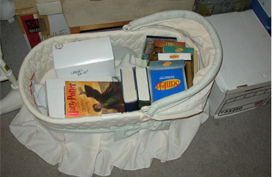
                    This is the top half of the Vogel's son's bassinette, filled with some DVDs, books and framed pictures. To the right is a box of important paperwork. The Allegra box behind it has some sets of tea cups, as does one of the boxes in the bassinette.
                                            (John Vogel)
                                        