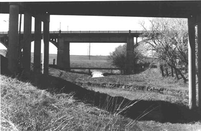
                    This picture shows what's left of the original Trinity River channel as it passes near downtown. The concrete bridge in the background was built in 1910. It has a high span over what was then the river to make way for boats. Not many boats showed up, and 20 years later the river channel had been moved west behind 30-foot levees.
                                            (Julia Barton)
                                        