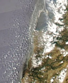 
                    Satellite image of the oil spill on the Mediterranean coast off Lebanon.
                                            (NASA)
                                        