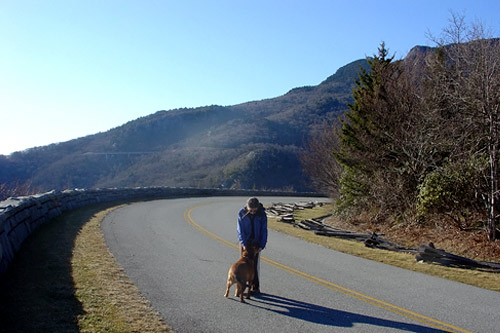 
                    Powell walks her dog Danny on the Blue Ridge Parkway.
                                            (Courtesy Ewa Powell)
                                        