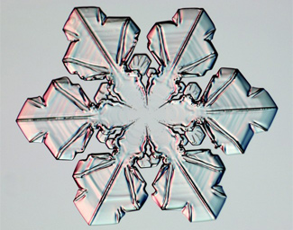 
                    Sectored plates are stellar plates with prominent distinctive ridges that point to the corners between adjacent prism facets. The points of this sectored plate snowflake look like little maple leaves.
                                            (Kenneth Libbrecht)
                                        