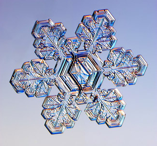 
                    This snowflake is made of two different crystals that are connected in the center. This kind of snow crystal is called a split plate and star.
                                            (Kenneth Libbricht)
                                        