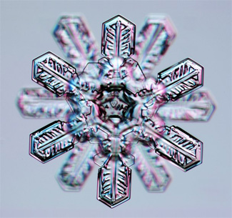 
                    It rarely happens, but sometimes two conjoined six-branch ice crystals can form twelve sided crystal, like the snowflake pictured here.
                                            (Kenneth Libbrecht)
                                        