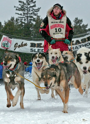 
                    Musher Keith Ali at the starting line on day one of the 2006 Beargrease Sled Dog Race. The event is named for John Beargrease, a 19th-century Chippewa man who delivered mail by dog sled along the Minnesota North Shore.
                                            (Kit Larson)
                                        