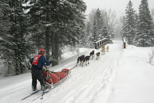 
                    Mark Black crossing Moos Creek the morning of the second day of the 2005 race, which he won. Stories of mushers having close encounters with wildlife abound. Official Beargrease photographer Gary Meinz says he's heard about packs of wolves running alongside contestants.
                                            (Kit Larson)
                                        