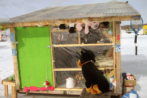
                    Hundreds of discarded stuffed animals insulate the Shanty of Misfit Toys.
                                            (Angela Kim)
                                        