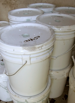 
                    Five-gallon buckets filled with newly mixed paint, ready for shipping.
                                            (Nancy Mullane)
                                        