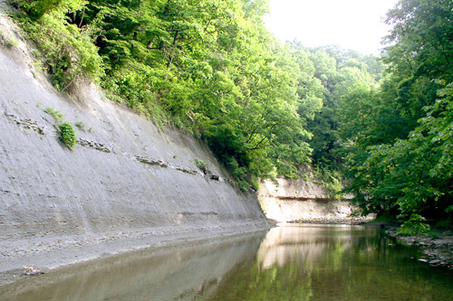 
                    A picture of the natural paradise found in Weekend America listener Haans Petruschka's nieghborhood. The clear waters of the East Branch of the Chagrin River has cut though layers of shale and created  steep banks which can be more than 100 feet high.  The forests of the region run right to the edges and sometimes over these banks.
                                            (Haans Petruschke)
                                        