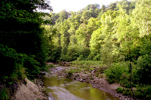 
                    The East Branch of the Chagrin River is a state scenic river.  The name Chagrin comes from the local Native American word  "Sha-ga-rin", or "clear water." The name is appropriate, given the East Branch River's clear flowing nature. It is largely untouched by human activity in many places, although it runs through Cleveland suburbs.
                                            (Haans Petruschke)
                                        