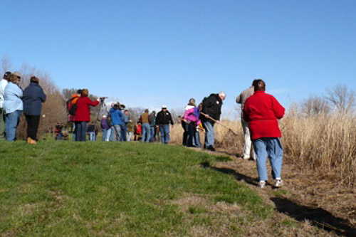 
                    Holding rakes and cameras, people line up for the first burn.
                                            (Sylvia Gross)
                                        