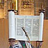 Holding the Torah at Temple Beth Shalom