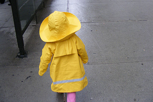 
                    "When we were walking down the street, we'd have to stop every few paces just so she could see her reflection in a storefront or in a bus shelter. Even the grimmest, most severe New Yorkers couldn't help but smile -- you just saw this vision of yellow bouncing down the street."
                                            (Greg Shuey)
                                        