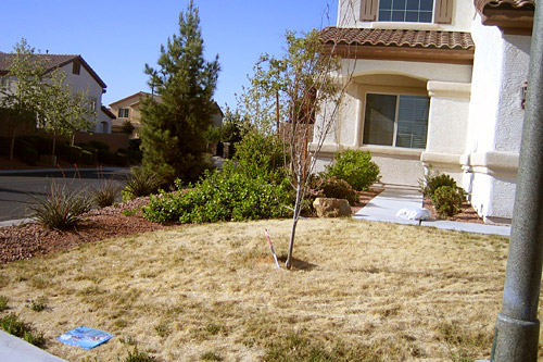 
                    One of many now-vacant houses in the gated community of San Niccolo in a suburb of Las Vegas. Scenes like this one -- dead lawn, trash-littered yard, and piles of old phone books on the doorstep -- are common in the neighborhood.  Tell-tale signs of the foreclosure crisis.
                                            (Krissy Clark)
                                        