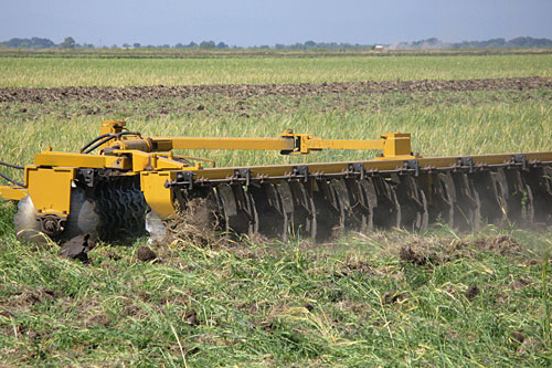
                    Blades of a tractor churn up the cover crop and dirt in preparation for planting this year's rice crop. Wild duck nests are hidden in the fields.
                                            (Nancy Mullane)
                                        