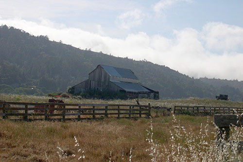 
                    The oldest barn on the former Giacomini Dairy Ranch in Point Reyes Station. Some locals call the barn the Mont Saint-Michel of Point Reyes, Calif. Others say it looks awkward without the dairy cows.
                                            (Krissy Clark)
                                        