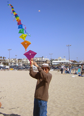 
                    Although Wong did not technically make these kites, he did string them all together to form one really long kite.
                                            (Krissy Clark)
                                        