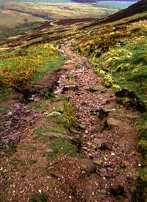 
                    Biatek took this a picture of the the West Highland Way Trail in Scotland. He was enjoying himself before a storm came and left him wet, lost and in pain. He says the weather turned from glorious to horrendous in minutes. He says he found solace in the words to the hymn with which his congregation sent him off to Scotland and which is now his weekend soundtrack.
                                            (Thomas Biatek)
                                        