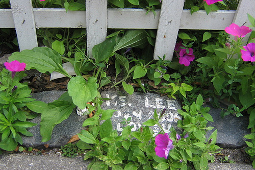 
                    Off to the side is one single stone for Yong's father, Ke Lee. He died in 2006.
                                            (Jonathan Menjivar)
                                        