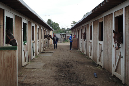 
                    The new stables provide each horse with a 10 by 10 foot stall.
                                            (Eric Molinsky)
                                        