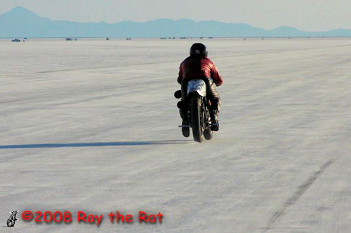 
                    Steve Hamel racing at the Bonneville salt flats.
                                            (Ray the Rat)
                                        