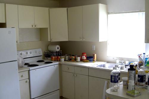 
                    The kitchen in Marie Nadine Pierre's new home. She is a vegan, which made living in homeless shelters very difficult for her.
                                            (Andrew Stelzer)
                                        