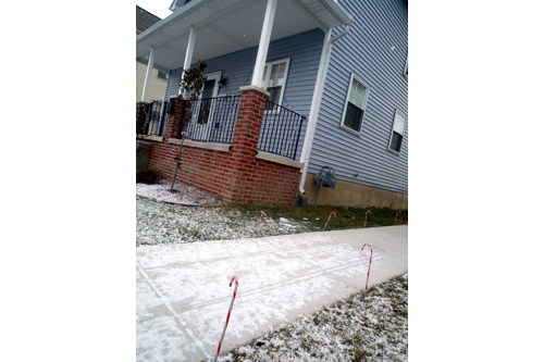 
                    Skinny candy canes line the sidewalk between Charnita's and Helen's homes.
                                            (Desiree Cooper)
                                        