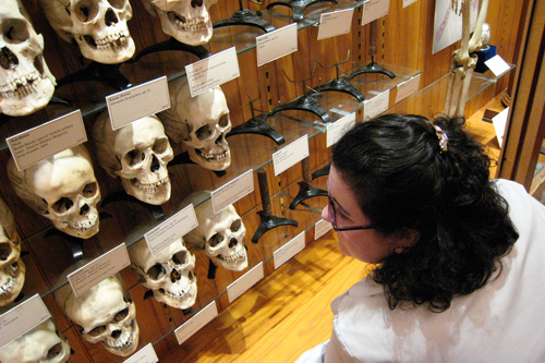 
                    Mutter Museum curator Anna Dhody reads the skulls' bios.  Most were 19th-century outcasts.
                                            (Todd Vachon/WHYY)
                                        