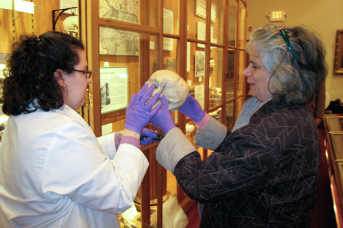 
                    Anna Dhody and professor Janet Monge admire one of the Hyrtl skulls.
                                            (Todd Vachon/WHYY)
                                        