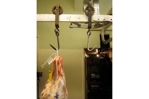 
                    After the pig, students butcher a lamb, seen hanging here.  Avedano's has been a butcher shop in one form or another since 1901.  Butchers used to unload carcasses from trucks onto the metal rail, which is still in place, and run the meat through the shop into the meat locker.
                                            (John Jakubowski)
                                        