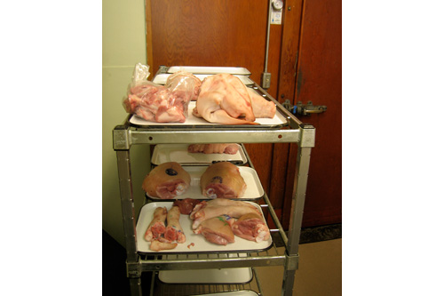 
                    Students' cuts from the pig are kept on metal trays during the class.
                                            (John Jakubowski)
                                        
