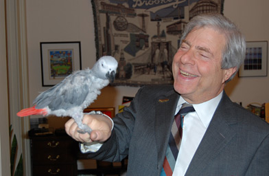 
                    Brooklyn's Borough President Marty Markowitz (aka "The Beep") and his adopted son, an African Grey parrot who's also known as "Beep."
                                            (Amanda Aronczyk)
                                        