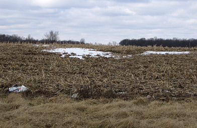 
                    This is what most of Upland, Indiana looks like. If students are looking for fun, they have to create it themselves.
                                            (Hillary Frank)
                                        