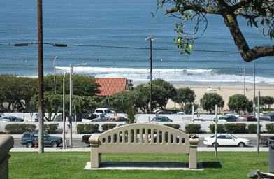 
                    In the 1910s and 20s, this park was the site of a thriving community of white and black residents and vacationers.
                                            (Krissy Clark)
                                        