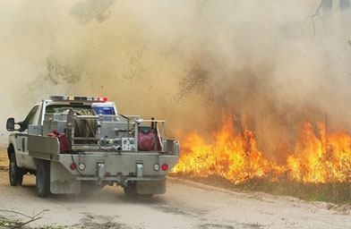 
                    A forest service vehicle drives past a fire burning in a wooded area on May 10, 2007, near Taylor, Fla. Residents of Taylor have been evacuated as firefighters battle to contain this fire and a reported 220 other fires currently burning in parts of Florida.
                                            (Oscar Sosa / Getty Images)
                                        