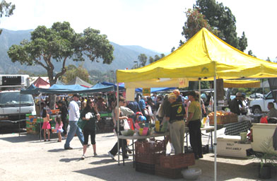
                    The Saturday Farmer's Market in Pasadena's Victory Park draws thousands of people, even without special attractions like craft tables and prepared food.
                                            (Pat Loeb)
                                        