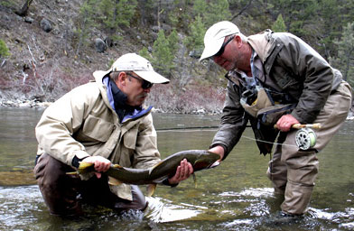 
                    Jeff Metcalf (left) and Steve Cole with a steelhead on the Salmon River in Idaho.
                                            (Scott Carrier)
                                        